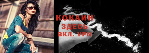 мяу мяу мука Новозыбков