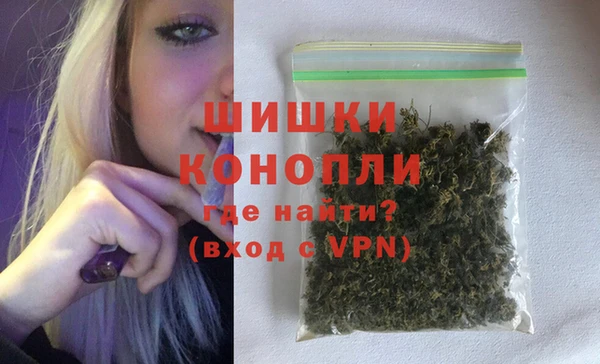 прущие грибы Белая Холуница