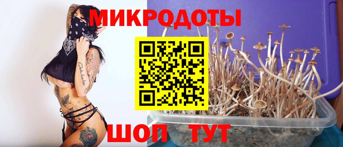 Воронеж  Псилоцибиновые грибы ЛСД  Вход с VPN 